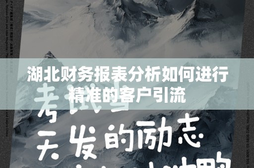 湖北财务报表分析如何进行精准的客户引流