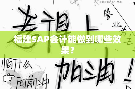 福建SAP会计能做到哪些效果？