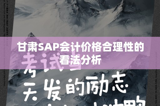 甘肃SAP会计价格合理性的看法分析