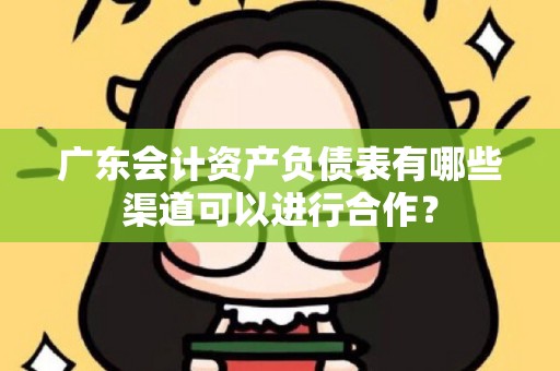 广东会计资产负债表有哪些渠道可以进行合作？