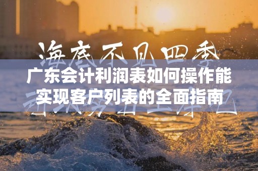 广东会计利润表如何操作能实现客户列表的全面指南