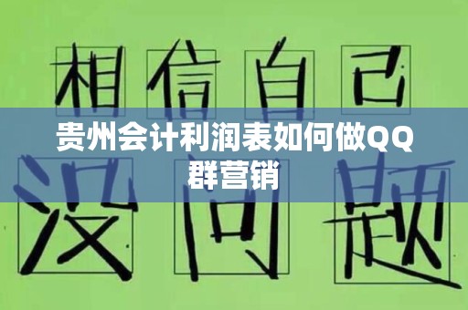 贵州会计利润表如何做QQ群营销