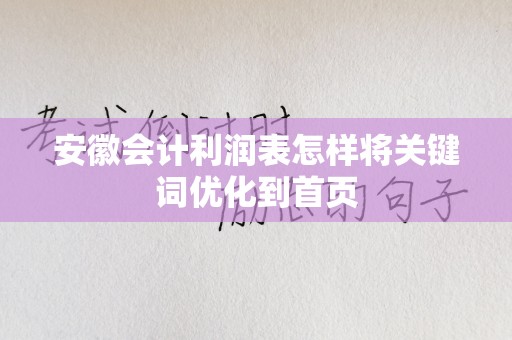 安徽会计利润表怎样将关键词优化到首页
