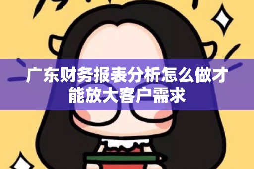 广东财务报表分析怎么做才能放大客户需求