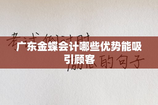 广东金蝶会计哪些优势能吸引顾客