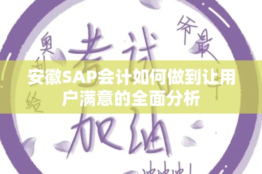 安徽SAP会计如何做到让用户满意的全面分析