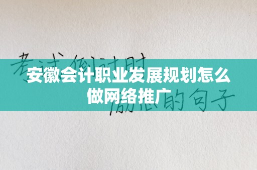 安徽会计职业发展规划怎么做网络推广