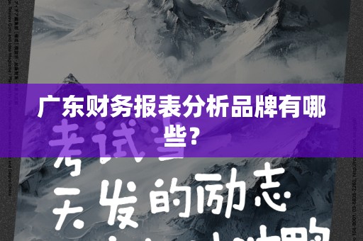 广东财务报表分析品牌有哪些？