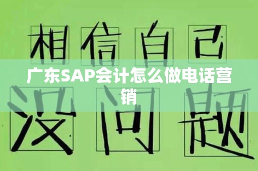 广东SAP会计怎么做电话营销