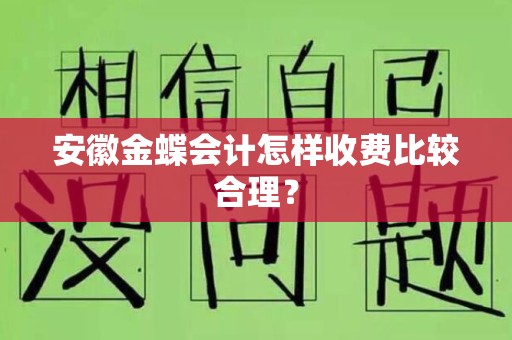 安徽金蝶会计怎样收费比较合理？