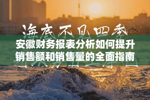 安徽财务报表分析如何提升销售额和销售量的全面指南