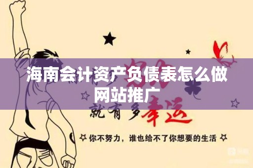 海南会计资产负债表怎么做网站推广