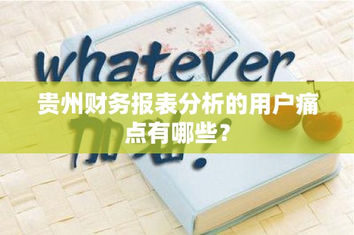 贵州财务报表分析的用户痛点有哪些？