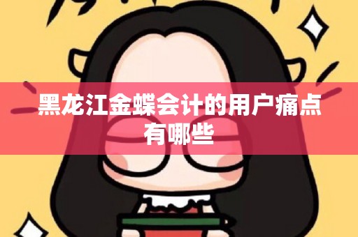 黑龙江金蝶会计的用户痛点有哪些
