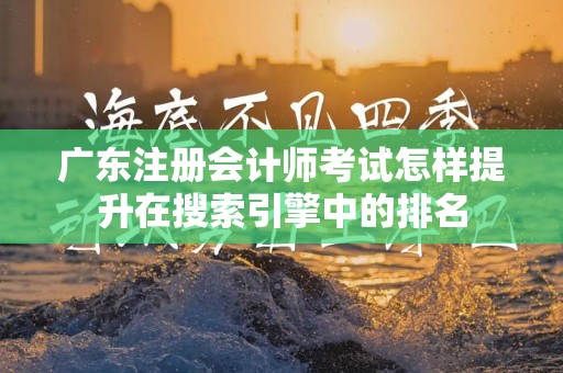 广东注册会计师考试怎样提升在搜索引擎中的排名
