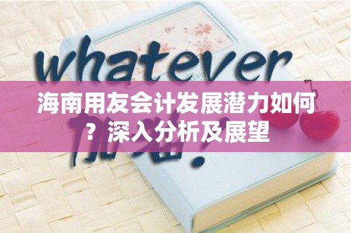 海南用友会计发展潜力如何？深入分析及展望