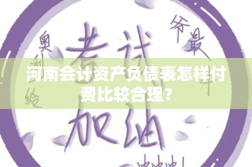 河南会计资产负债表怎样付费比较合理？