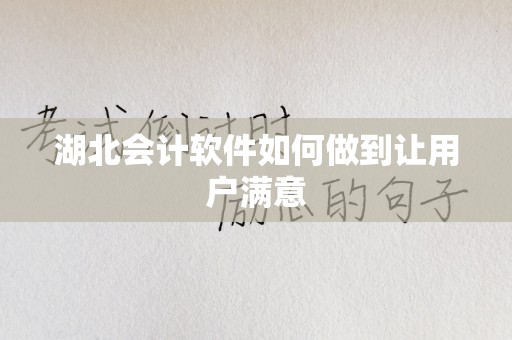 湖北会计软件如何做到让用户满意