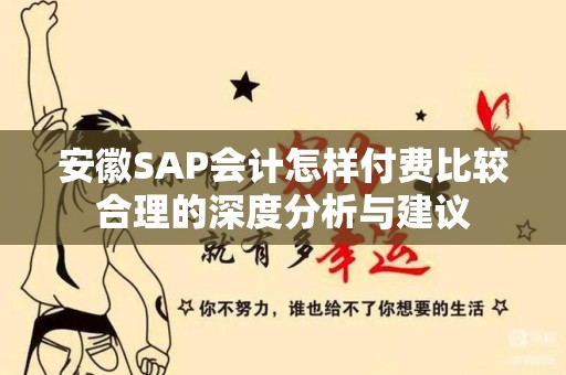 安徽SAP会计怎样付费比较合理的深度分析与建议