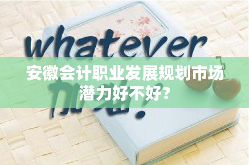 安徽会计职业发展规划市场潜力好不好？