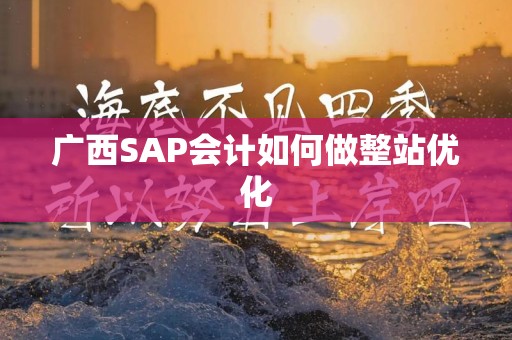 广西SAP会计如何做整站优化