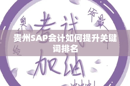 贵州SAP会计如何提升关键词排名