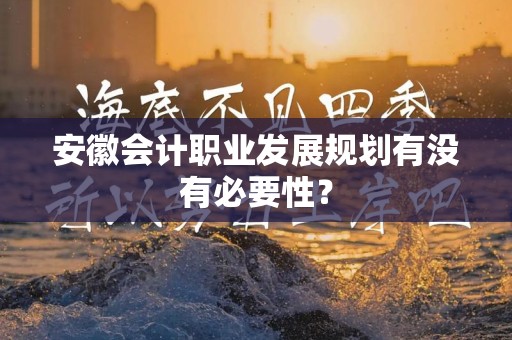 安徽会计职业发展规划有没有必要性？