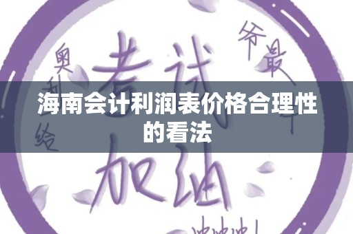 海南会计利润表价格合理性的看法