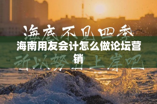海南用友会计怎么做论坛营销