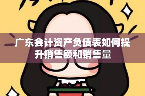 广东会计资产负债表如何提升销售额和销售量
