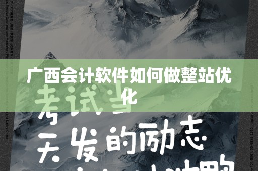广西会计软件如何做整站优化