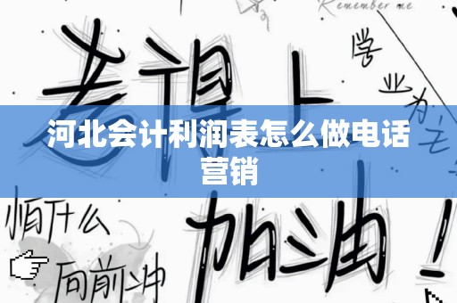 河北会计利润表怎么做电话营销