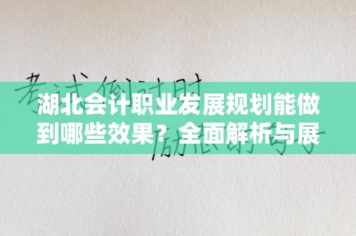 湖北会计职业发展规划能做到哪些效果？全面解析与展望