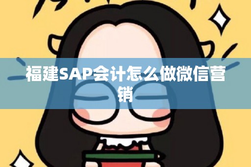 福建SAP会计怎么做微信营销