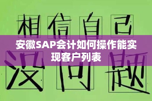 安徽SAP会计如何操作能实现客户列表