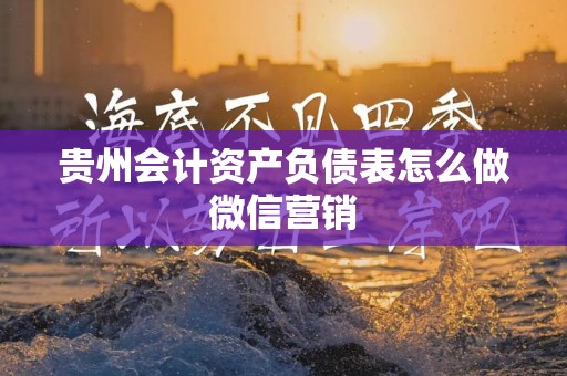 贵州会计资产负债表怎么做微信营销