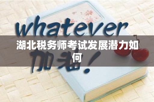 湖北税务师考试发展潜力如何