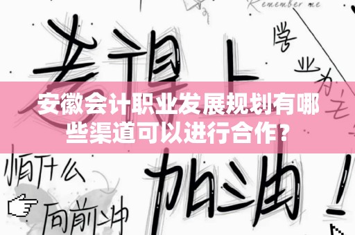 安徽会计职业发展规划有哪些渠道可以进行合作？