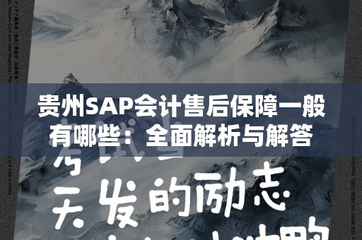 贵州SAP会计售后保障一般有哪些：全面解析与解答