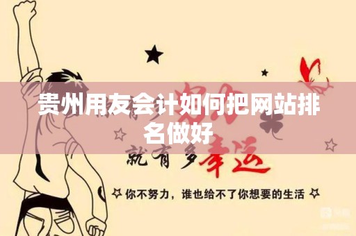 贵州用友会计如何把网站排名做好