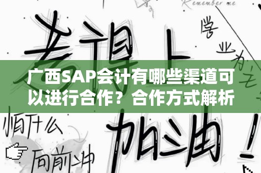 广西SAP会计有哪些渠道可以进行合作？合作方式解析与建议