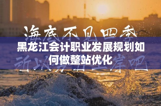 黑龙江会计职业发展规划如何做整站优化