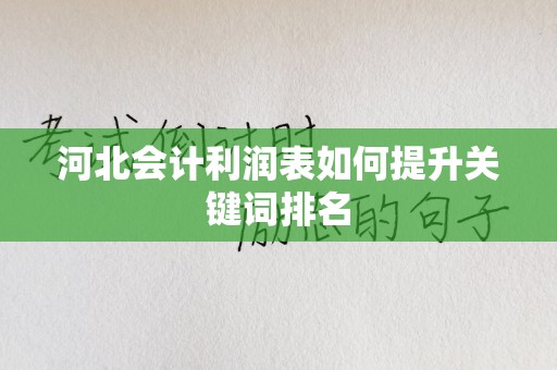 河北会计利润表如何提升关键词排名