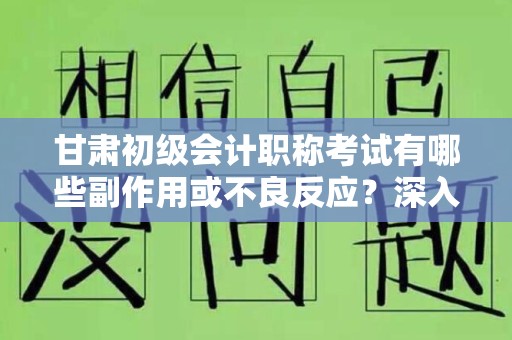甘肃初级会计职称考试有哪些副作用或不良反应？深入分析