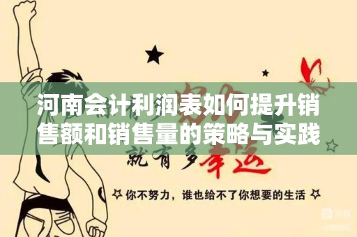 河南会计利润表如何提升销售额和销售量的策略与实践