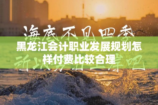 黑龙江会计职业发展规划怎样付费比较合理