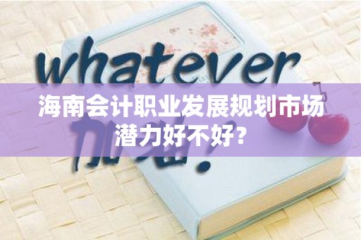 海南会计职业发展规划市场潜力好不好？
