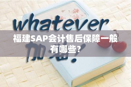 福建SAP会计售后保障一般有哪些？