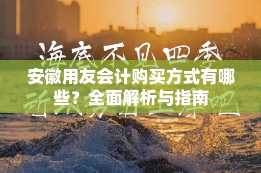 安徽用友会计购买方式有哪些？全面解析与指南