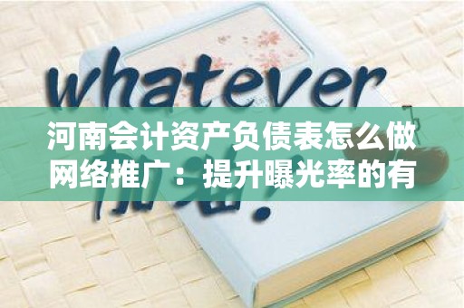 河南会计资产负债表怎么做网络推广：提升曝光率的有效策略